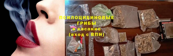 бошки Елабуга