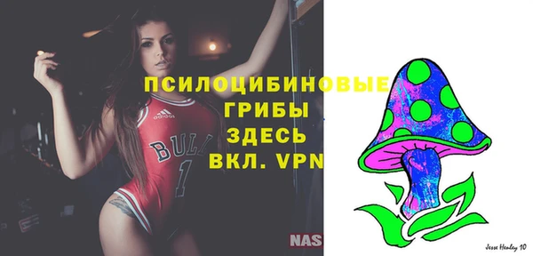 ALPHA-PVP Ельня