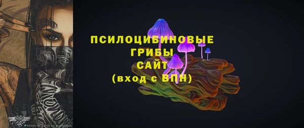 бошки Елабуга