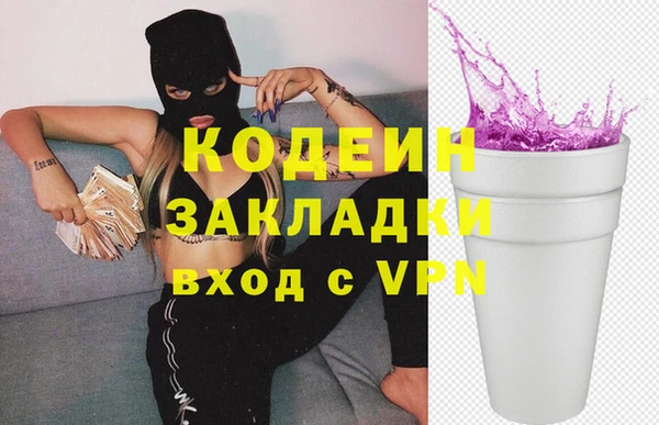 СК Елизово
