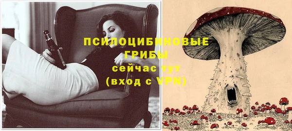 СК Елизово