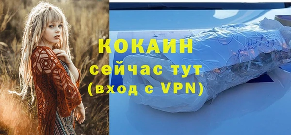 СК Елизово