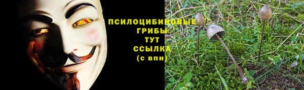 бошки Елабуга
