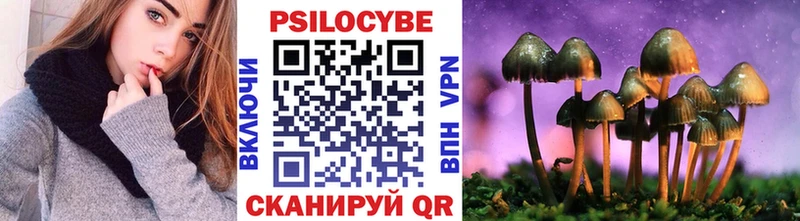 кракен как зайти  Саяногорск  Галлюциногенные грибы Psilocybine cubensis 