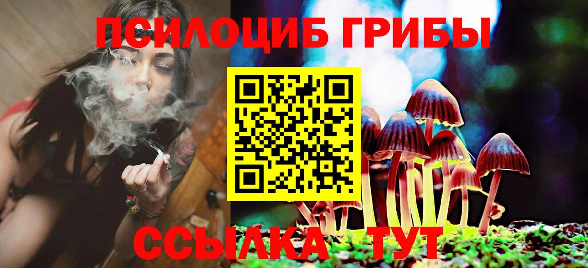 Псилоцибиновые грибы MAGIC MUSHROOMS  Вход с VPN  закладки  Саяногорск 